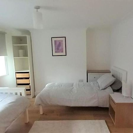 2 Bedroom Victorian Garden Flat London Eksteriør bilde