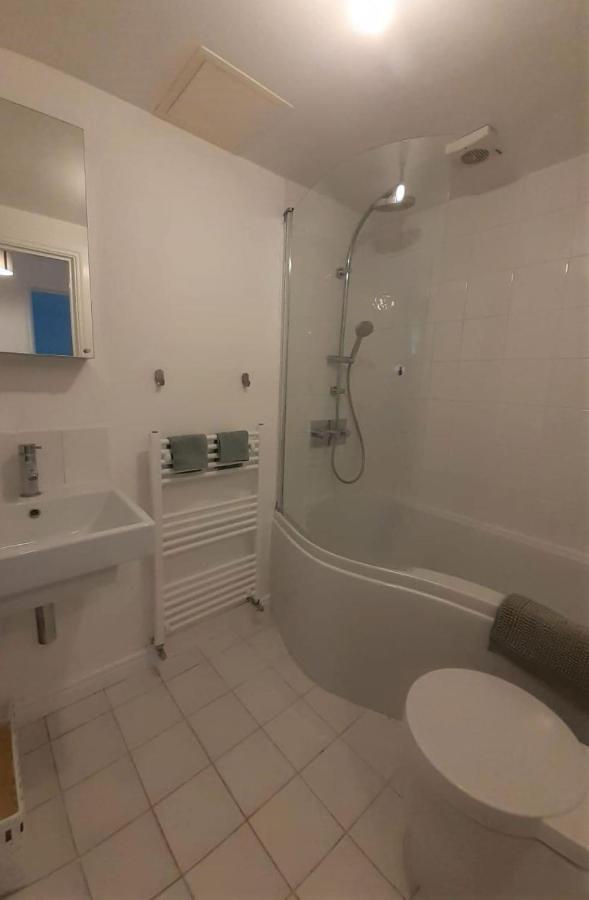2 Bedroom Victorian Garden Flat London Eksteriør bilde