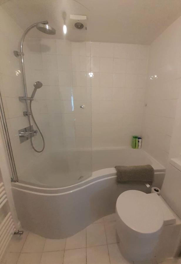2 Bedroom Victorian Garden Flat London Eksteriør bilde